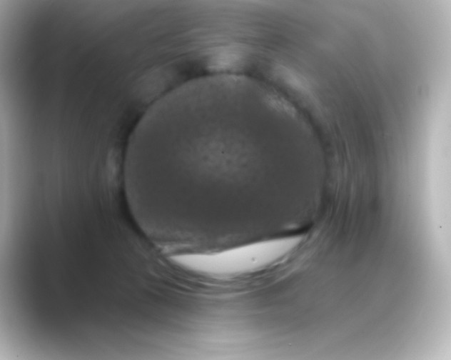 X0000088690273200706211932
