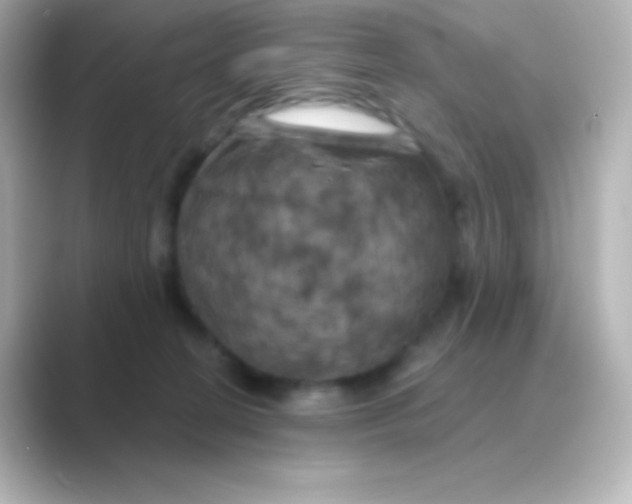 X0000088690274200706211932