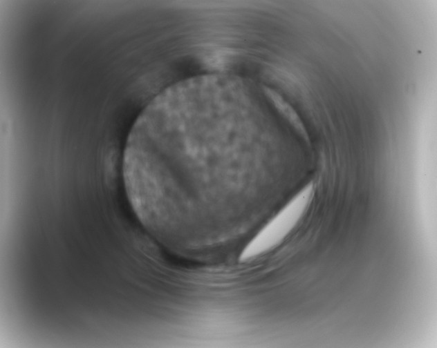 X0000088690275200706211932