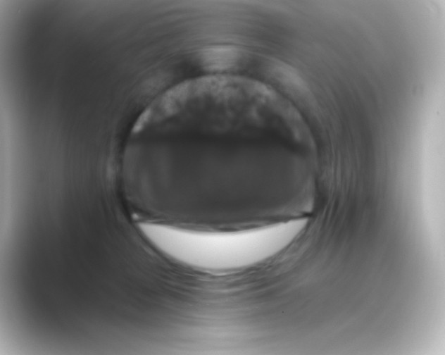 X0000088690277200706211932