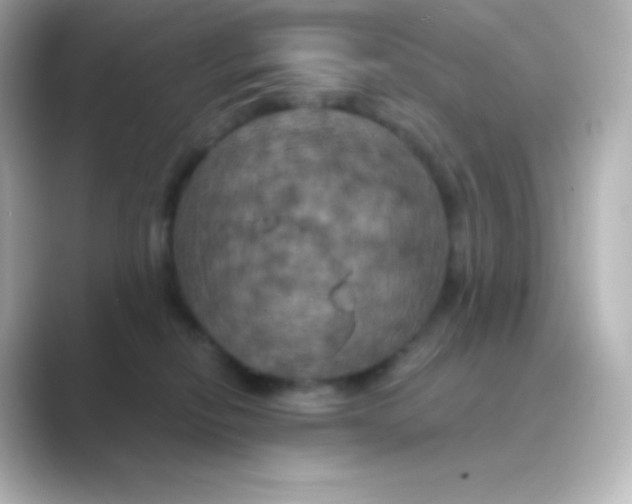 X0000088690278200706211932