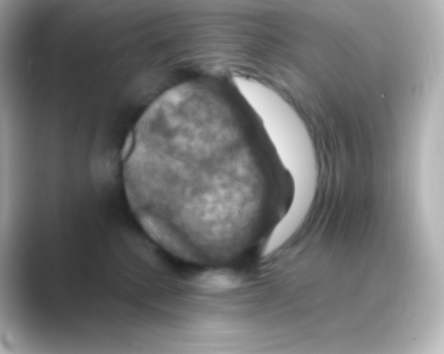 X0000088690280200706211932