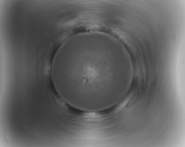 X0000088690281200706211932