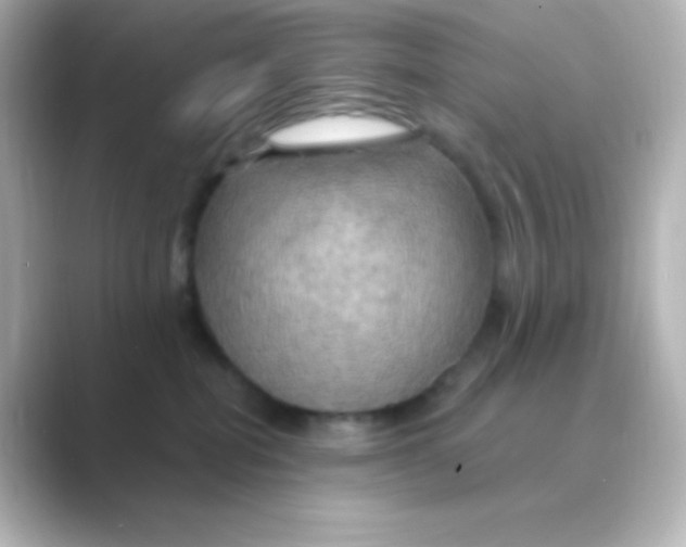 X0000088690282200706211932
