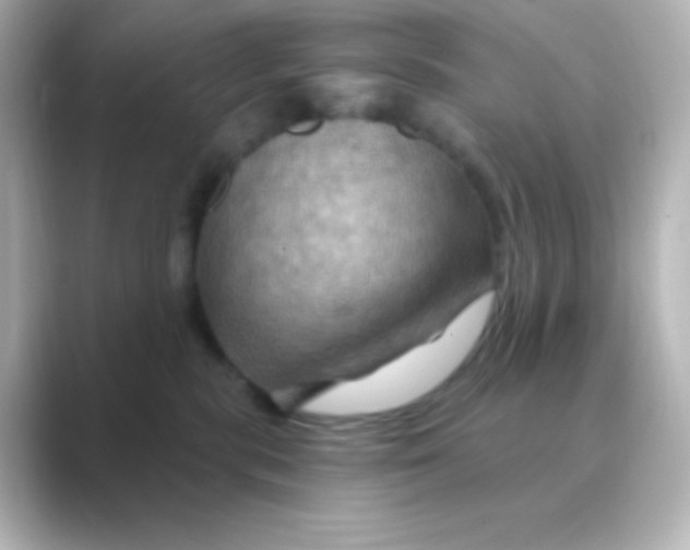 X0000088690283200706211932