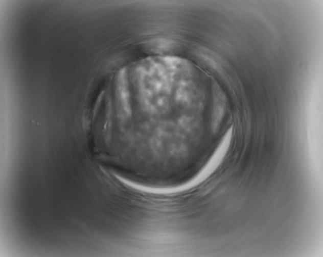 X0000088690284200706211932