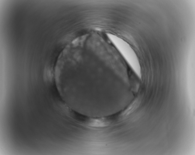X0000088690285200706211932