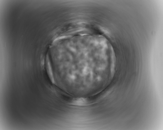 X0000088690288200706211932