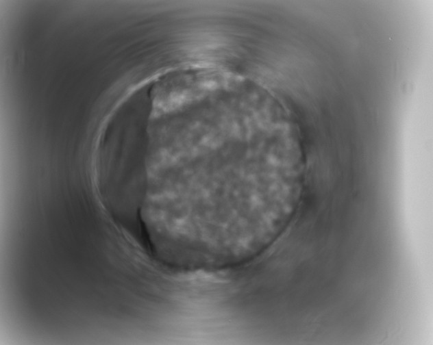 X0000088690290200706211932