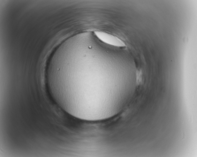 X0000088690291200706211932