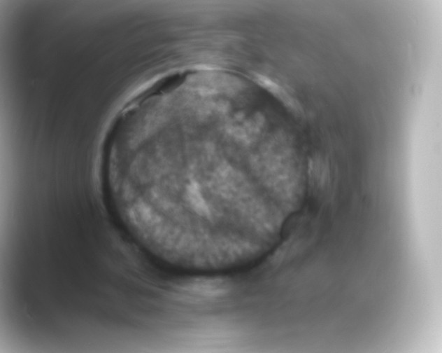 X0000088690292200706211932