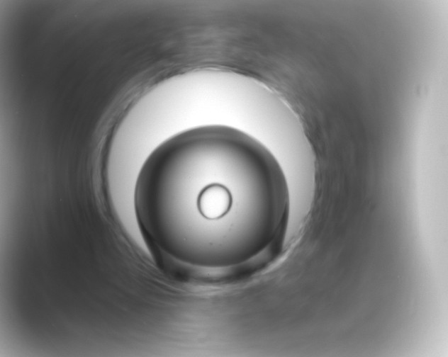 X0000088690293200706211931