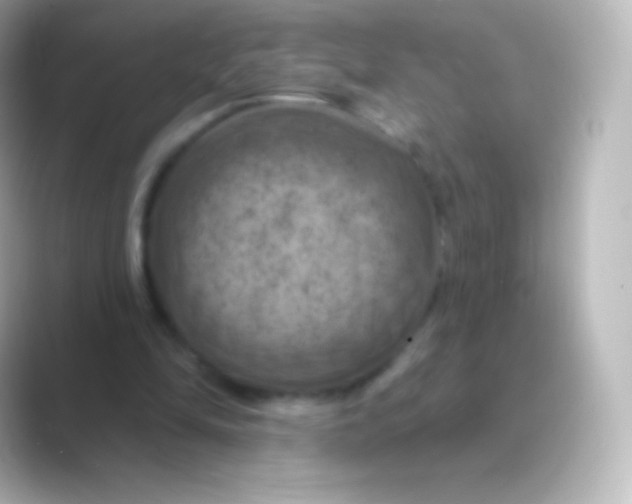 X0000088690294200706211931