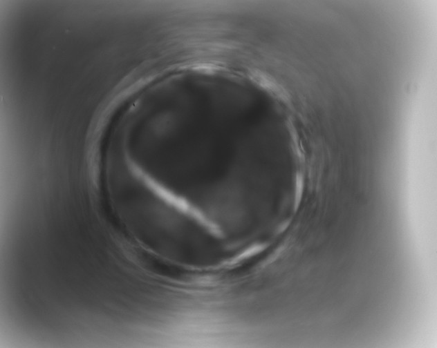X0000088690295200706211931