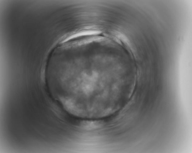 X0000088690297200706211931