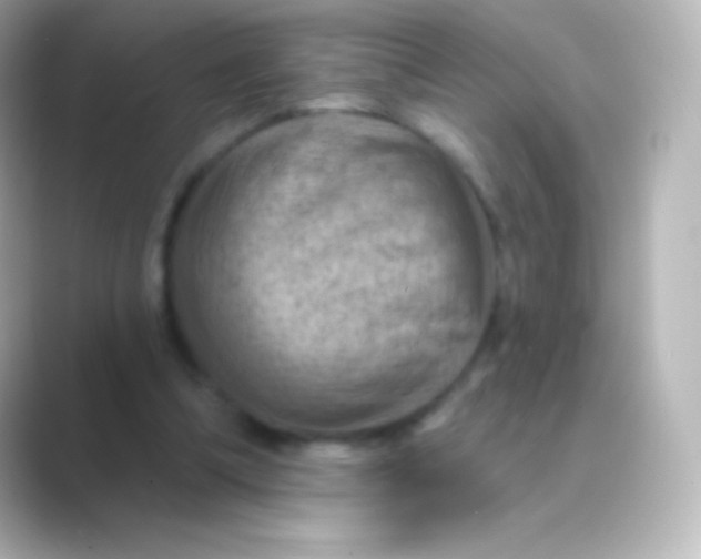 X0000088690298200706211931