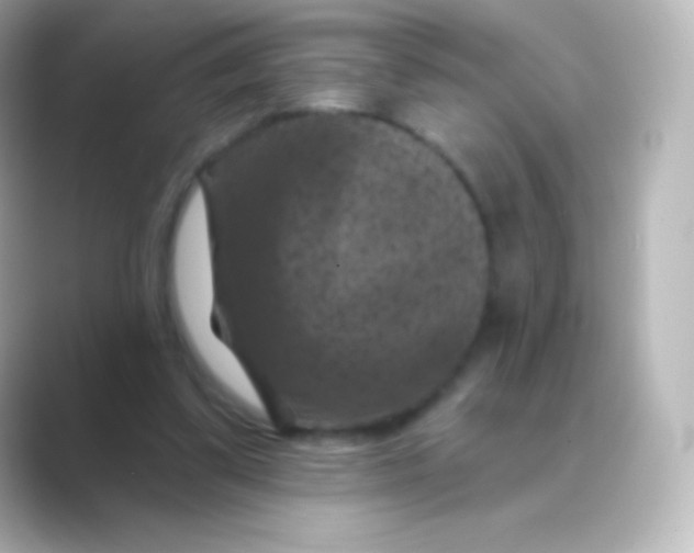 X0000088690299200706211931
