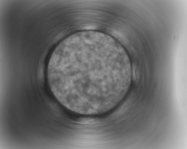 X0000088690300200706211931