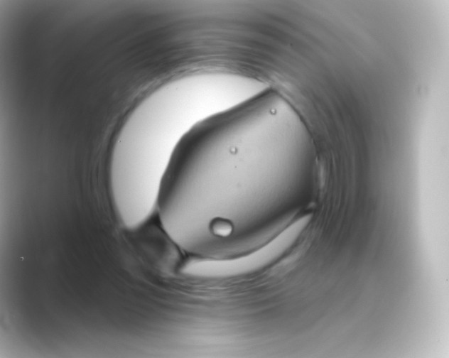X0000088690301200706211931