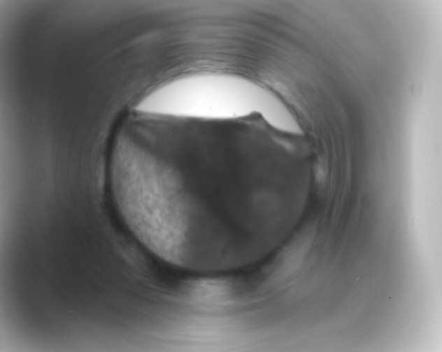 X0000088690303200706211931