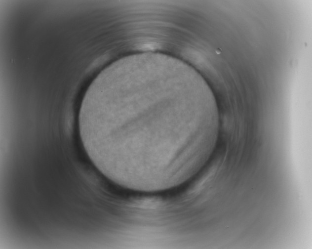 X0000088690304200706211931