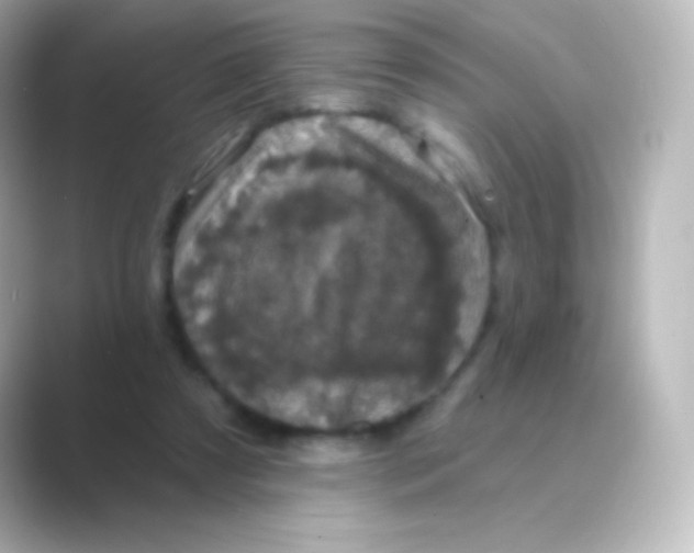 X0000088690305200706211931