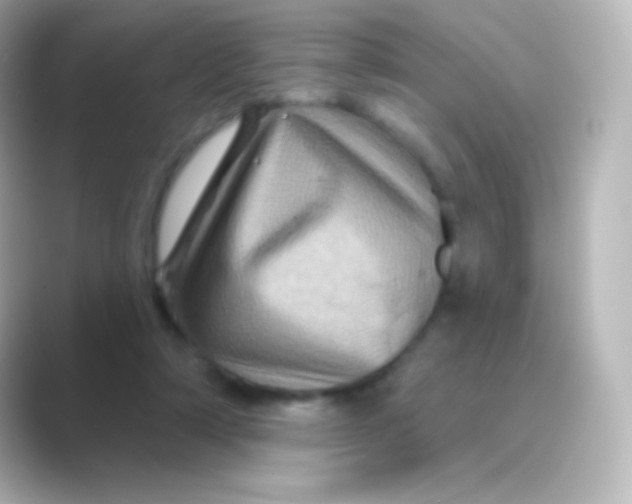 X0000088690306200706211931
