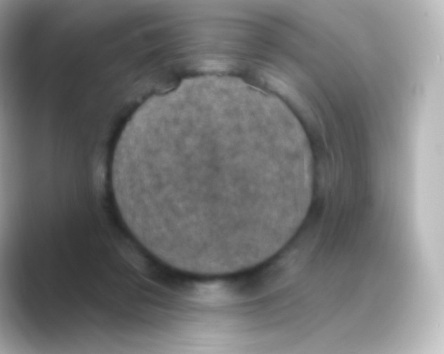 X0000088690309200706211931