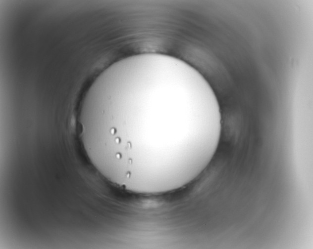X0000088690310200706211931