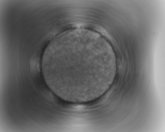 X0000088690313200706211931