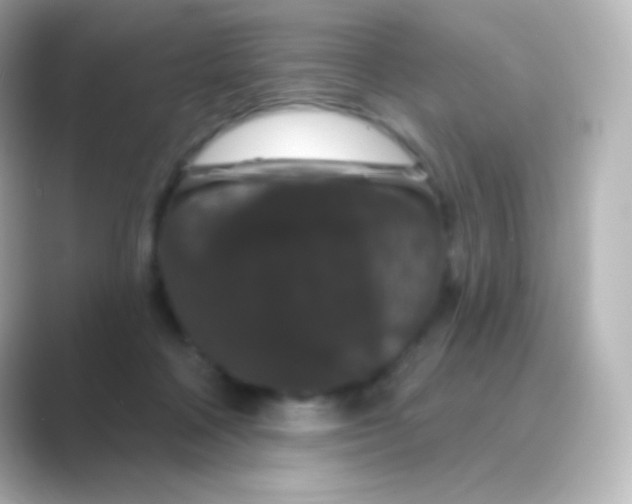X0000088690314200706211931