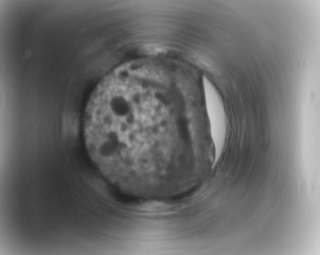 X0000088690315200706211931