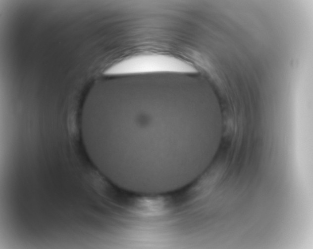 X0000088690317200706211931