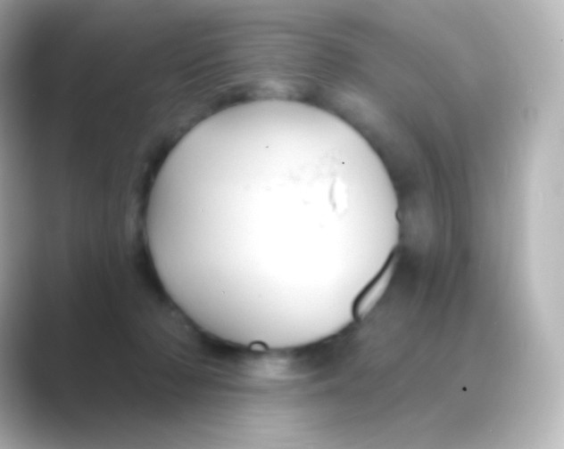 X0000088690318200706211931