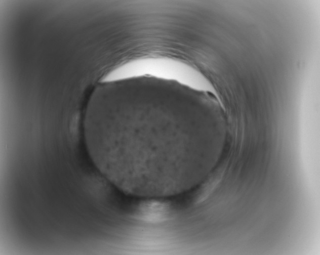 X0000088690319200706211931