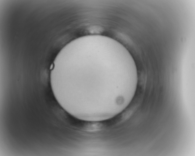 X0000088690321200706211931