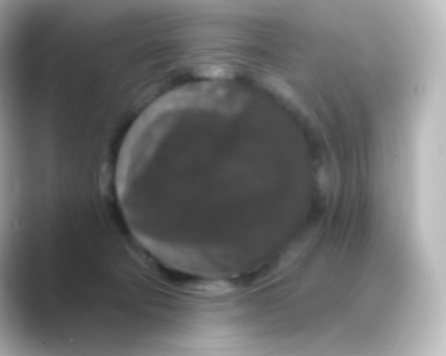 X0000088690322200706211931