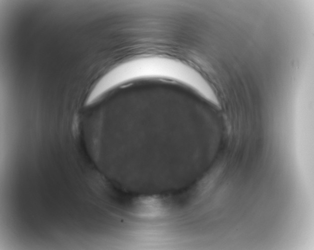 X0000088690325200706211931