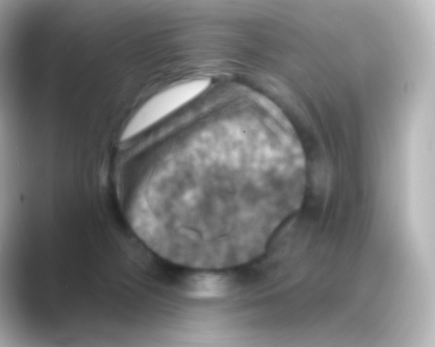 X0000088690326200706211931