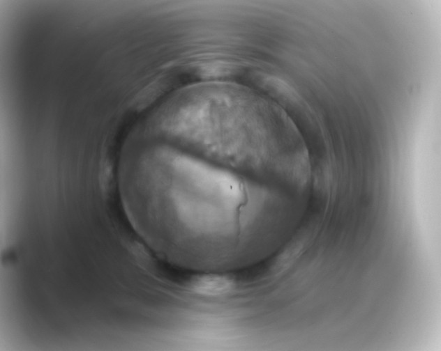 X0000088690327200706211931