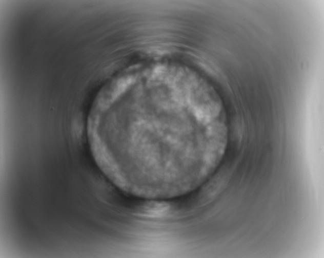 X0000088690328200706211931