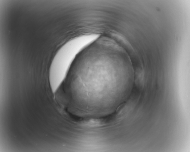 X0000088690329200706211931