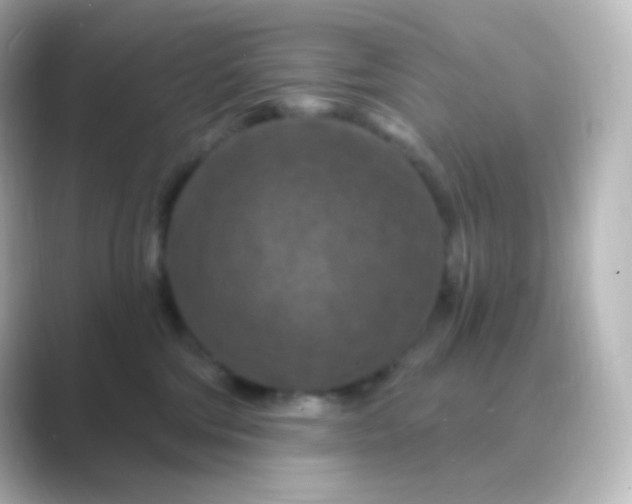 X0000088690330200706211931