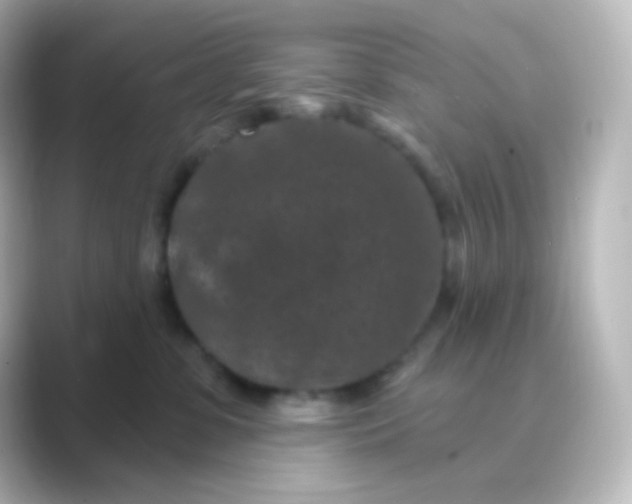 X0000088690331200706211931
