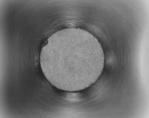 X0000088690332200706211931