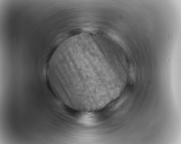 X0000088690333200706211931