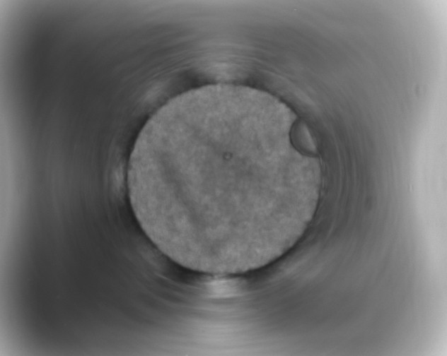 X0000088690336200706211931