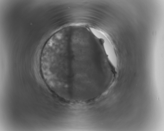 X0000088690337200706211930