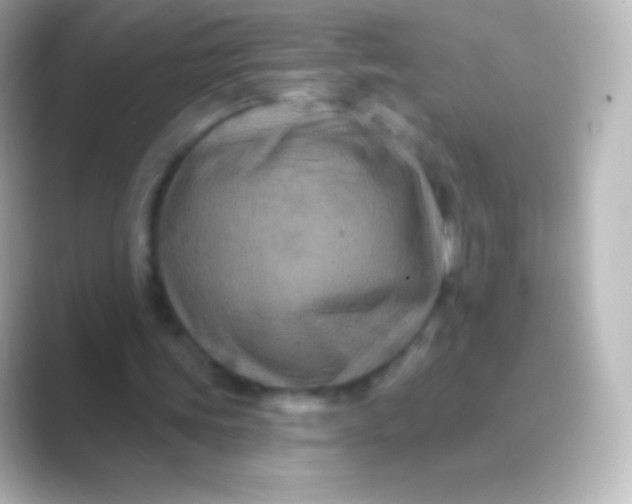 X0000088690339200706211930