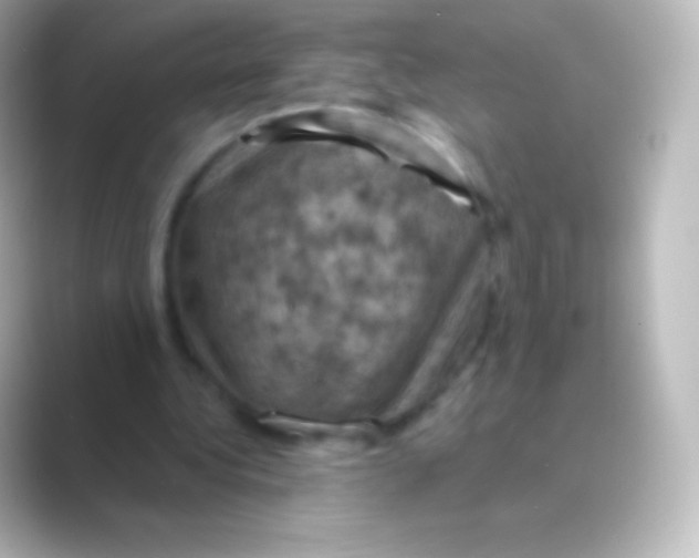 X0000088690340200706211930